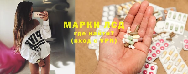 ECSTASY Богданович